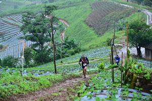 BIB: 
                            <button type="button" onclick="openModal(13378233)" class="btn btn-primary btn-sm float-right btn-popup" data-toggle="modal" data-target=".modal-high-quality">
                        <i class="fas fa-shopping-cart"></i> Add to Cart
                    </button>
                                            <button type="button" onclick="isThisMe(13378233, true)" class="btn btn-success btn-sm float-right btn-popup btn-isme hidden" data-toggle="tooltip" data-placement="bottom" title="นี่คือรูปของคุณใช่ไหม คลิกที่นี่เพื่อเอาเข้าอัลบั้ม">
                        <i class="fas fa-plus"></i> Add to album
                    </button>
                    <button type="button" onclick="isThisMe(13378233, false)" class="btn btn-warning btn-sm float-right btn-popup btn-isnotme hidden">
                        <i class="fas fa-ban"></i> Remove from album
                    </button>